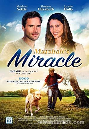 Mucize Köpek 2015 Filmi Türkçe Dublaj Full izle