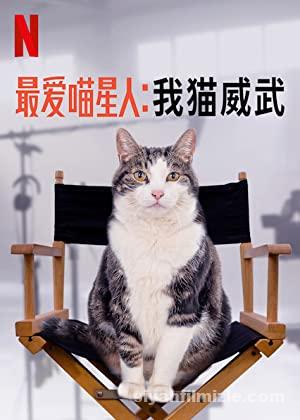 Kedi Aşkına (Poeslief: een ode aan de kat) 2021 izle