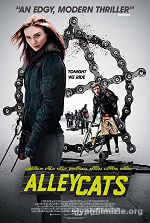 Sokak Kedileri 2016 Filmi Türkçe Dublaj Altyazılı Full izle