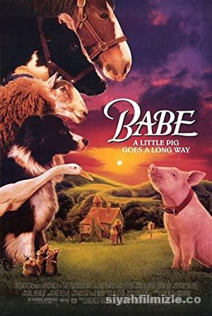 Babe 1995 Filmi Türkçe Dublaj Altyazılı Full izle