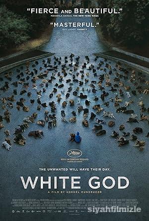 Beyaz Tanrı (White God) 2014 Filmi Türkçe Dublaj Full izle