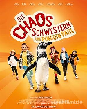 Kaos Kardeşler ve Penguen Paul 2024 Türkçe Dublaj Full izle