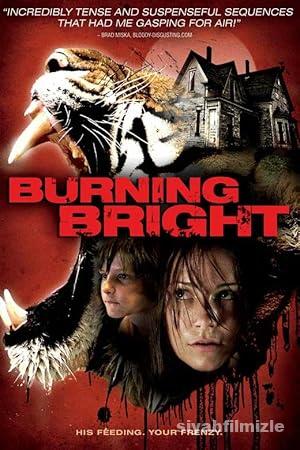 Kaplan Kapanı 2010 Filmi Türkçe Dublaj Altyazılı Full izle